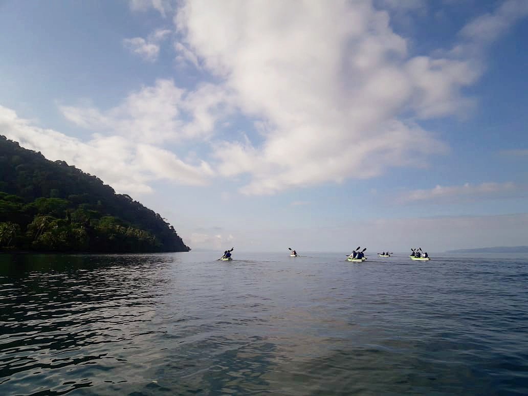 PROYECTOUTDOORS's tweet photo. #experientialeducation #adventureeducation #outdooreducation #costarica #osapeninsula #golfitotrekandkayak #kayaking https://t.co/GaHEvjvI6m