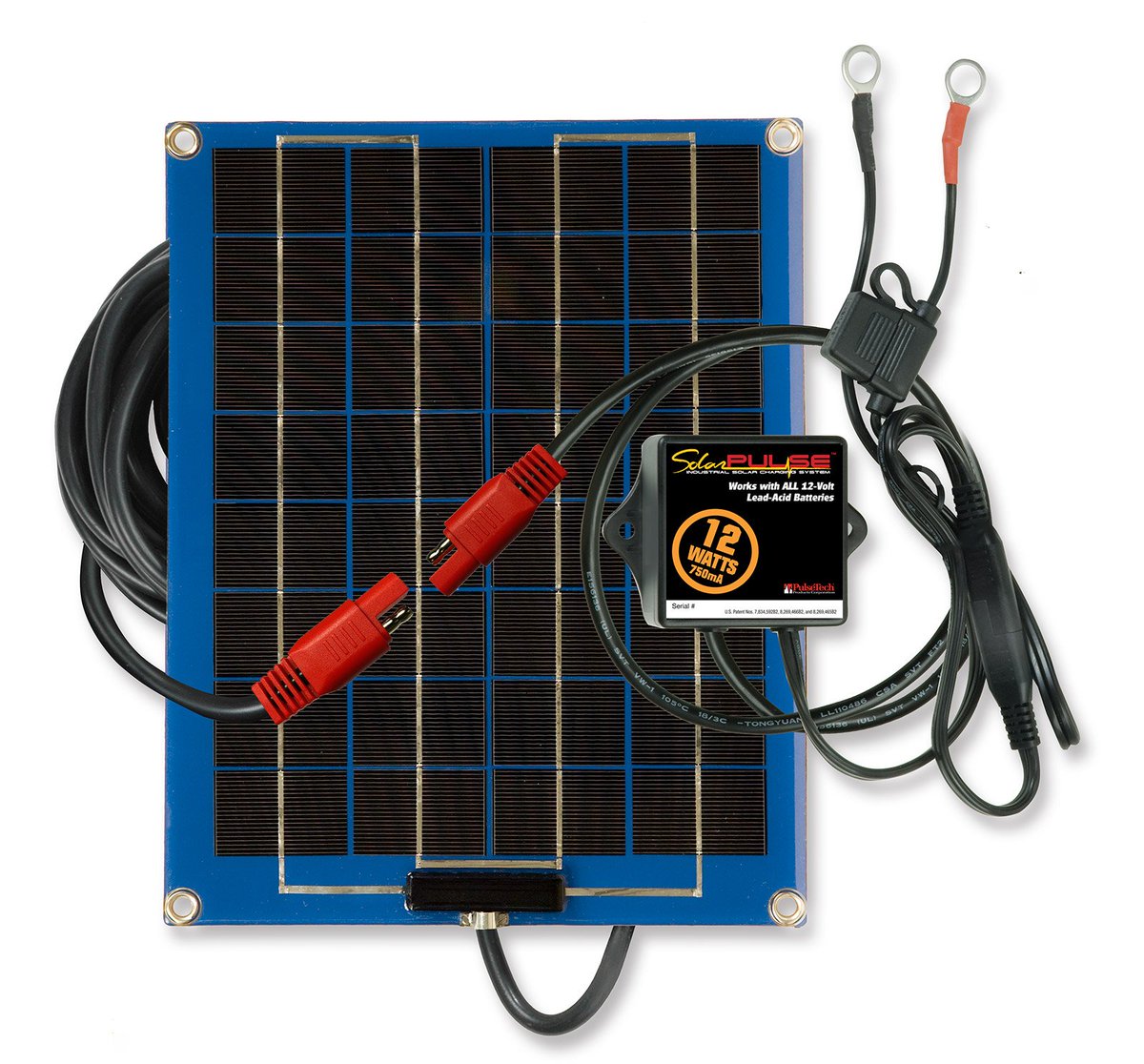 garrigus's tweet photo. PulseTech New SolarPulse Solar Chargers
https://t.co/OmFRFUwaSG
#PulseTech #solar #SolarEnergy #battery #batteries #charger #chargers #solarpanels #gadget #gadgets #mobiletech #travel #traveltech #tools #hometips #homeimprovement https://t.co/ab6wvk4iWT