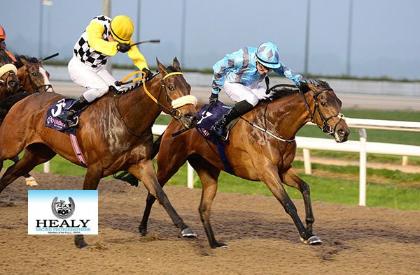 patcashhealy's tweet photo. Syrena &amp; @CrosseShane win @DundalkStadium for @JosephOBrien2 
(c)https://t.co/voWGTccgic https://t.co/InzyhIIUWl