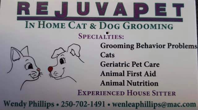 Subtle_Whisper's tweet photo. For #CatGrooming in the #ComoxValley Wendy has reasonable rates, makes house calls, and is AMAZING. https://t.co/hKS672o1lj