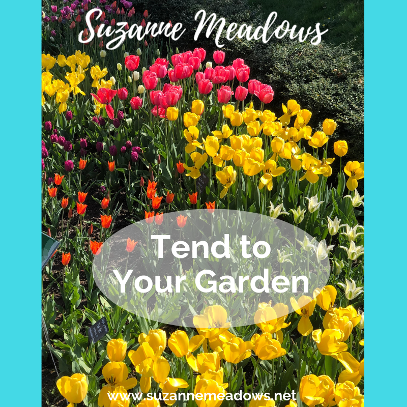 SuZanneMea's tweet photo. If your mind is your garden, how does it look? Are some areas blossoming, while other areas of your life are unattended to? WEED OUT invasion plants, so that you can live a more fragrant lifestyle? #brooklynbotanicalgardens #prospectheights #leffertsgarden #crownheights #flatbush https://t.co/ZdMH7kLkM5