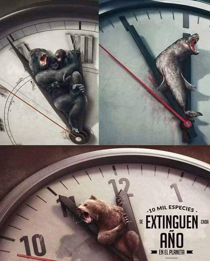Gunsclaxel's tweet photo. El tiempo se acaba, tenemos que hacer conciencia...
Estamos acabando con el planeta. https://t.co/BpbiXJEVNb