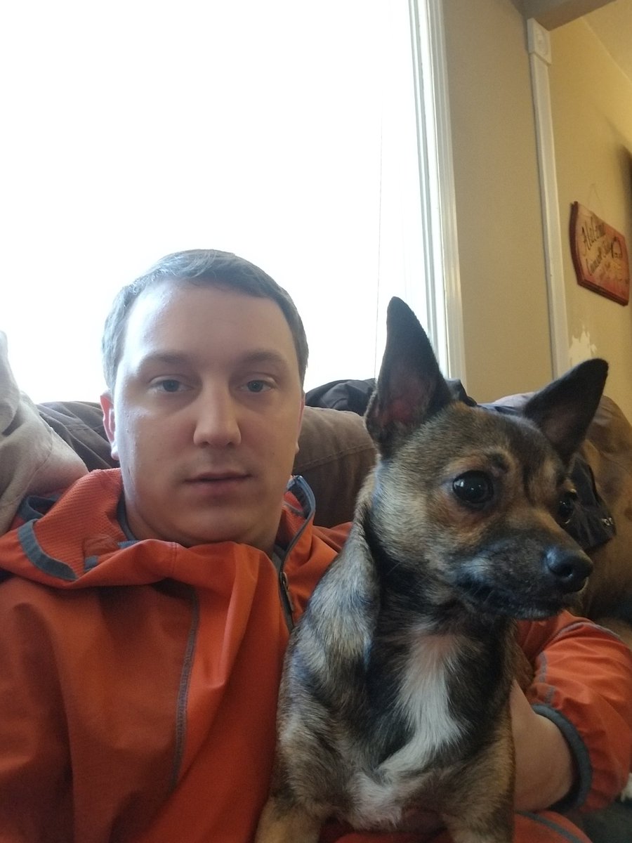 CoachGrizzleTV's tweet photo. A few of the pups! My good pups! My dogs are better than yours... #Taco #Belle #YosemiteSam yes the chihuahuas are named Taco, Belle but that wasn't planned Haha. #dogsofmixer Online tonight at 6! @watchmixer https://t.co/nBnZzBQP43