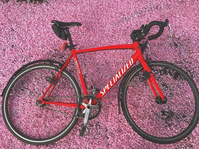 Another_Cyclist's tweet photo. #aprilshowers bring down #springblossoms #cyclinglife #cycling #cyclist #kitnetik #fixie #ukcyclechat #specializedbikes #fromwhereiride #outsideisfree https://t.co/KhFIczhes0 https://t.co/OH9oRAMKPT