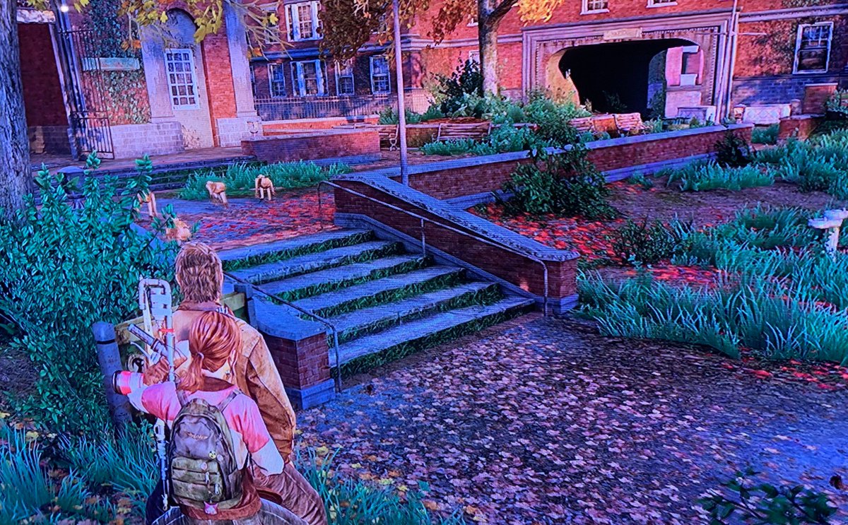LucaPlayingUs's tweet photo. Where do these monkeys come from? Did they survive the apocalypse? Or are they from the lab? Why do they exist? They also seem to be making fun of Joel and Ellie.  So many questions. For me, they don't really fit into the game environment @PlayingUs #PlayingWithTheEnd19 https://t.co/gIqm3WNIOG