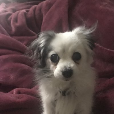 HudsonHamblin's tweet photo. #NewProfilePic https://t.co/z8UKPYqgZl