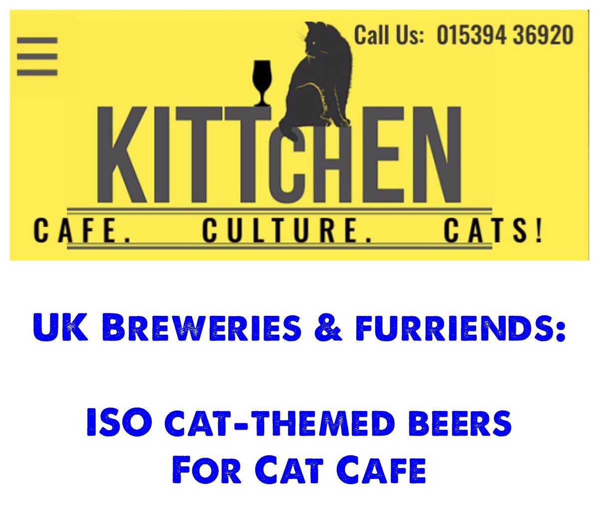 Beer Cats tweet media