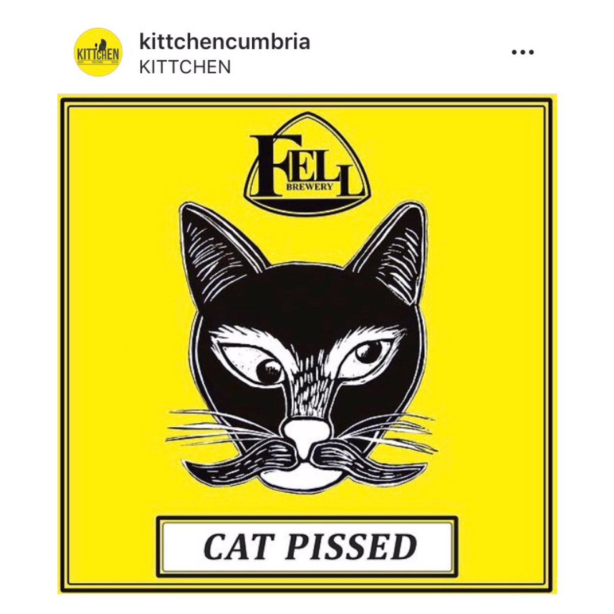 Beer Cats tweet media