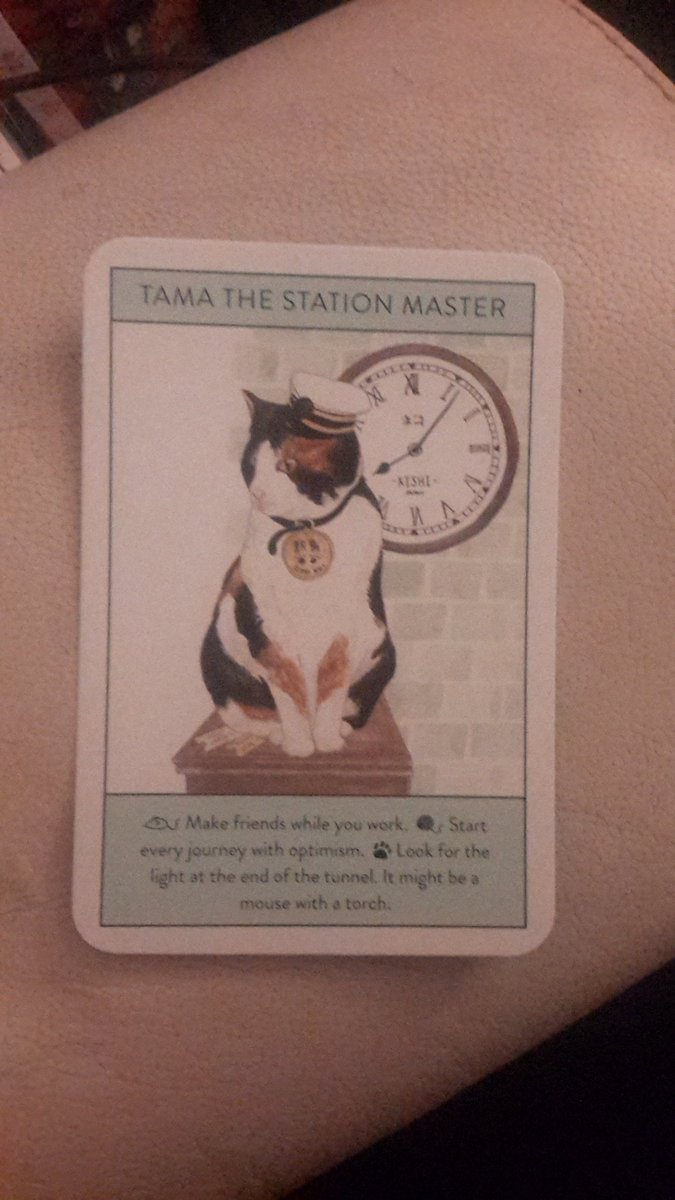 Today's gurus!Tama the Stationmaster