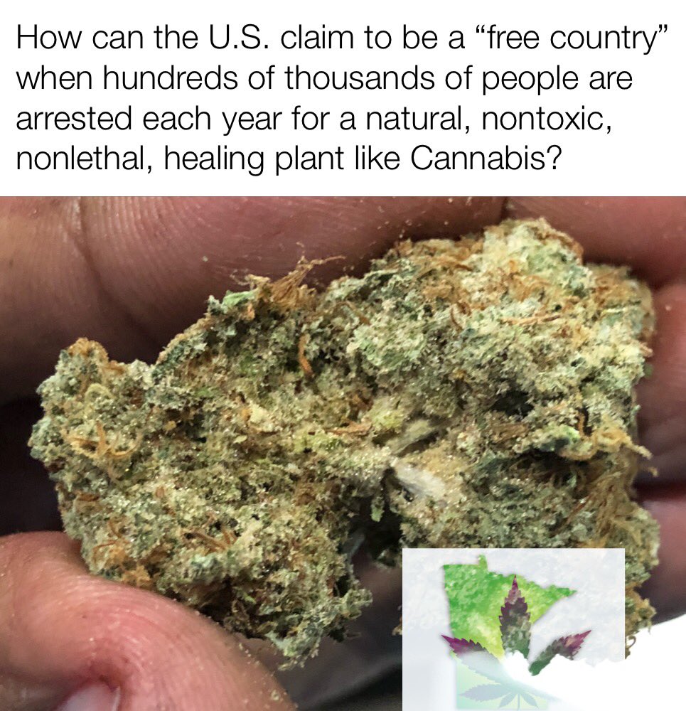 MN Campaign for Full Legalization tweet media