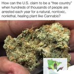 Photo by MN Campaign for Full Legalization (@WeLegalizeItMN)
