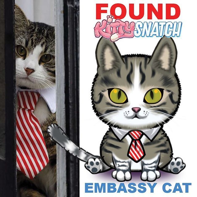 KittySnatch's tweet photo. 📣🔺F O U N D 🔺🔔 The @embassycat has been spotted in @kittysnatch safe and sound. 🙏🏼
#julianassange cat is seen in formal attire - as usual - with its fellow #catsofkittysnatch .
📲Feel free to address #kittysnatch team if you have any questions abo… https://t.co/QfELcThybV https://t.co/ICb1e7sMIh