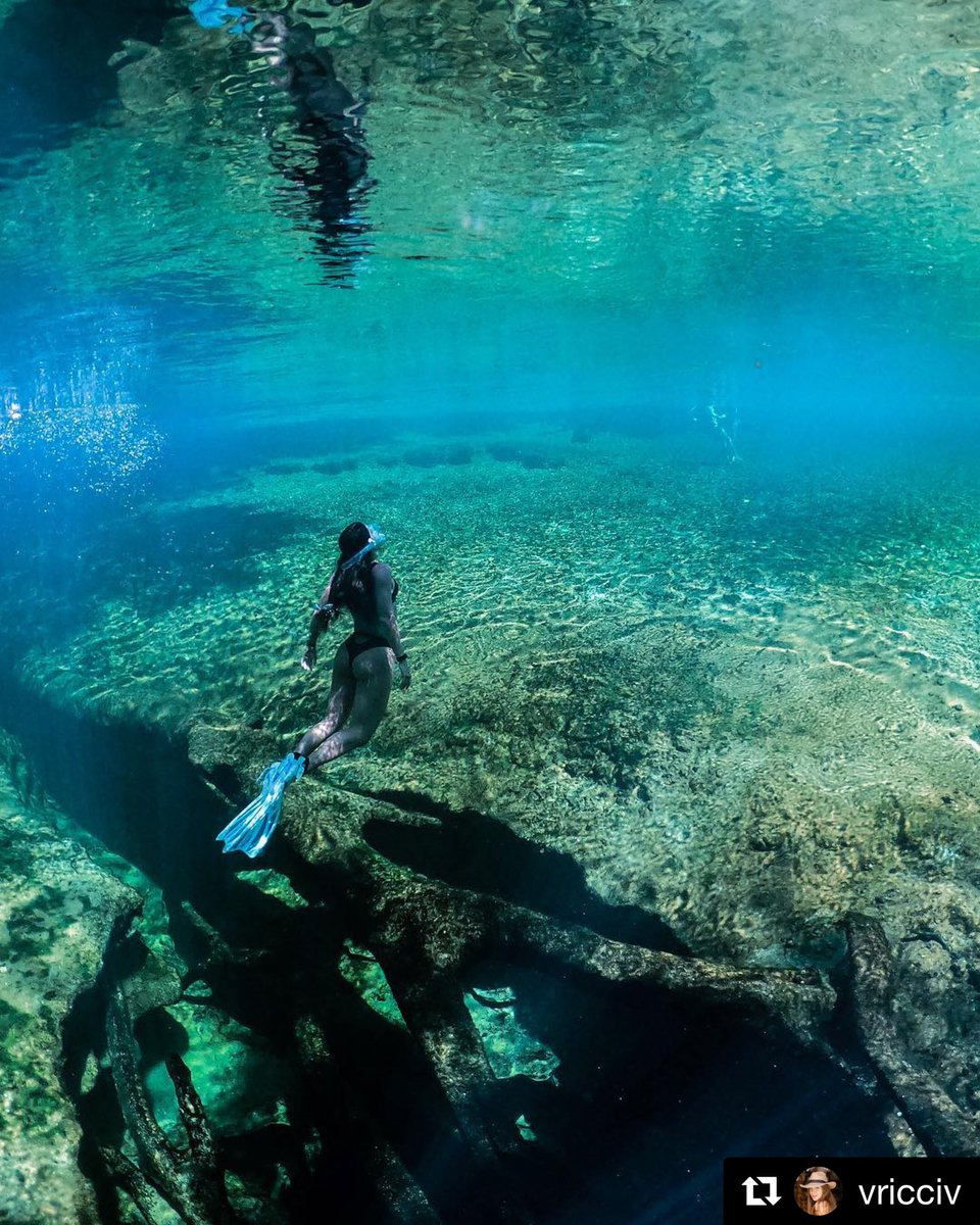 TUSALatina's tweet photo. El #buceo te regala la oportunidad de conocer el mundo en facetas que solo imaginabas. 🌊

#Tusadivers IG @vricciv / 📸 @mateolhner90 

#TUSALATINA #TUSATINA #scubadiving #underwater #tusadiving #latinoamérica https://t.co/zgBVhSV7v3