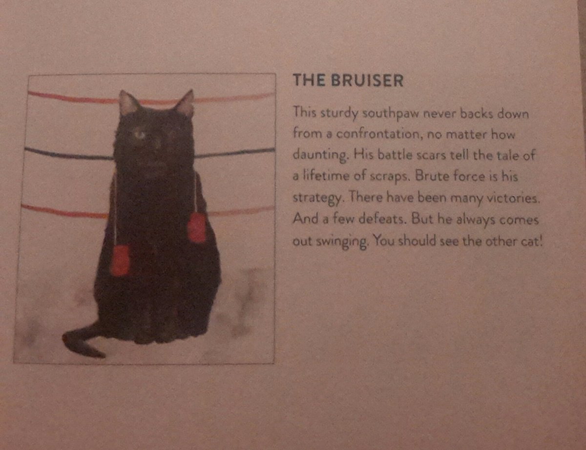 The Bruiser