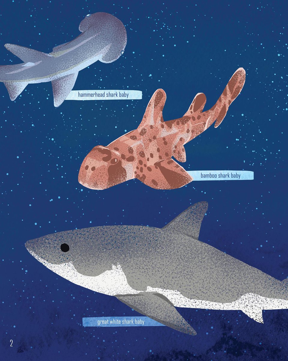 ARC Press tweet media