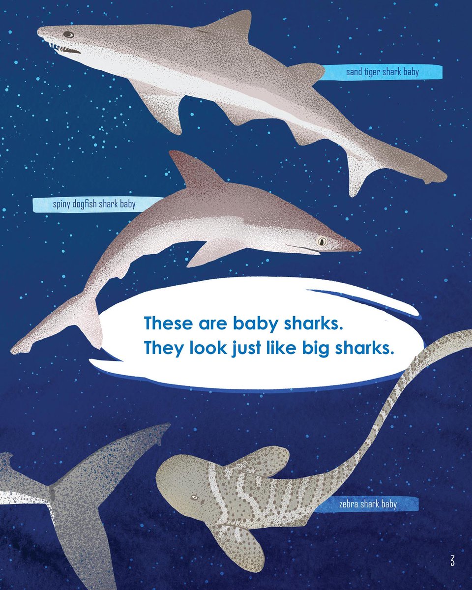 Learn about sharks while practicing one-syllable words. #ARCPress americanreadingathome.com/bookstore/book…