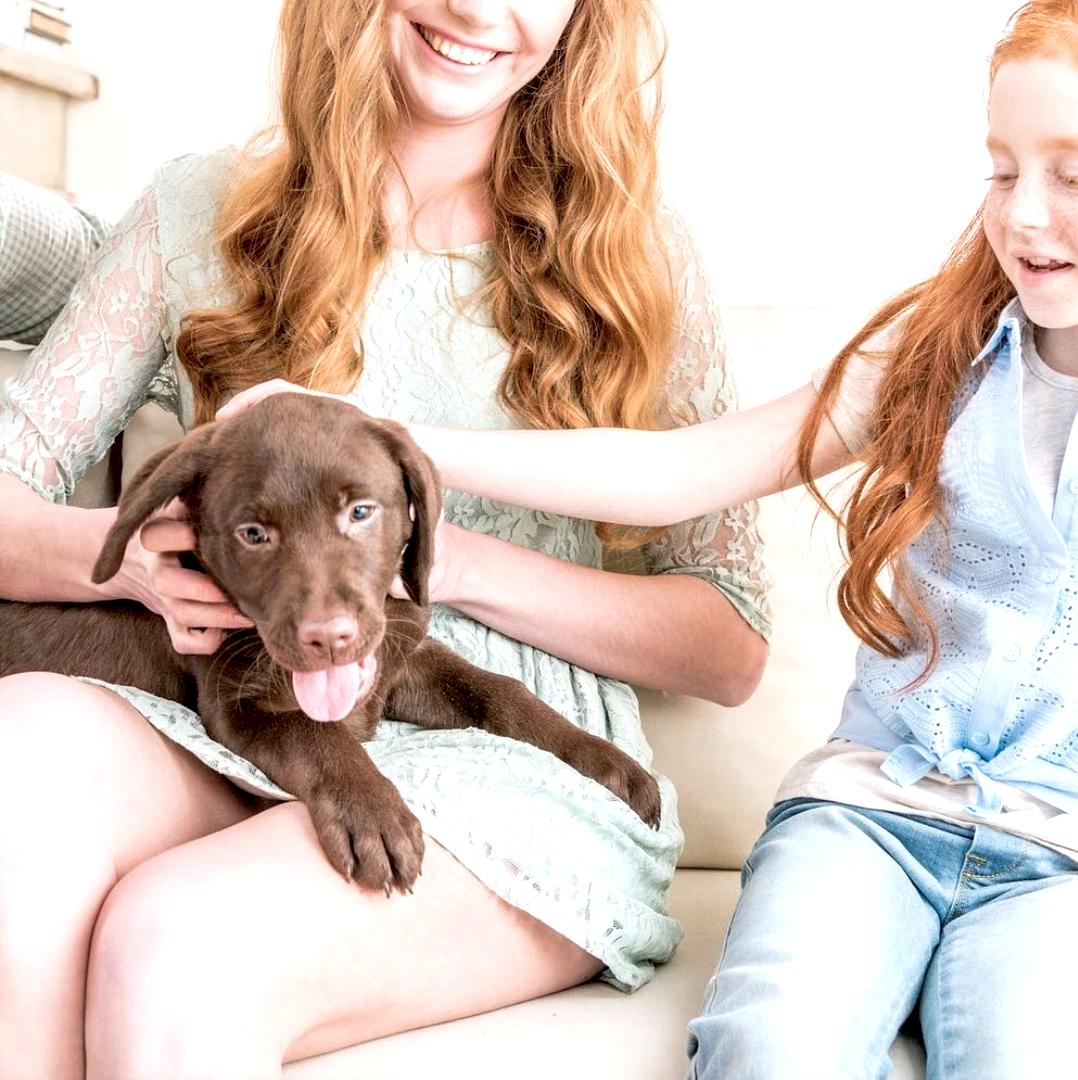 eat2perform's tweet photo. Growing up with a dog is good for your gut! Having a dog in your home benefits your lower intestine and immune system by expanding the variety of your gut microbiome. Who's your gut's best friend? 
#eat2perform #guthealth #microbiome https://t.co/qZisIZ8FFE