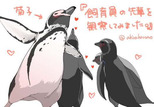 フンボルトペンギンのtwitterイラスト検索結果