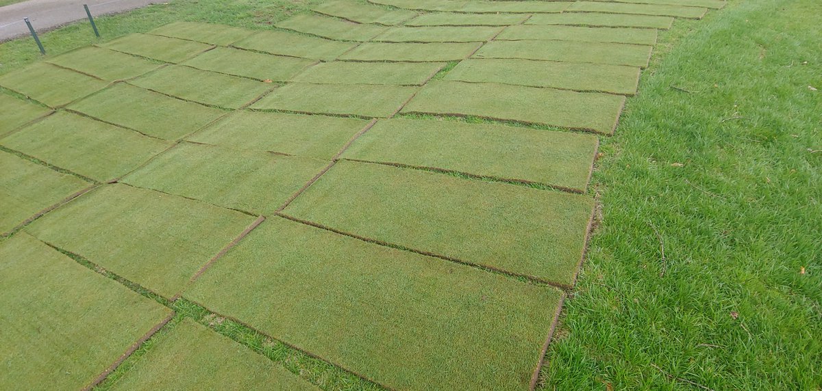 WhitmoorCCGrounds tweet media