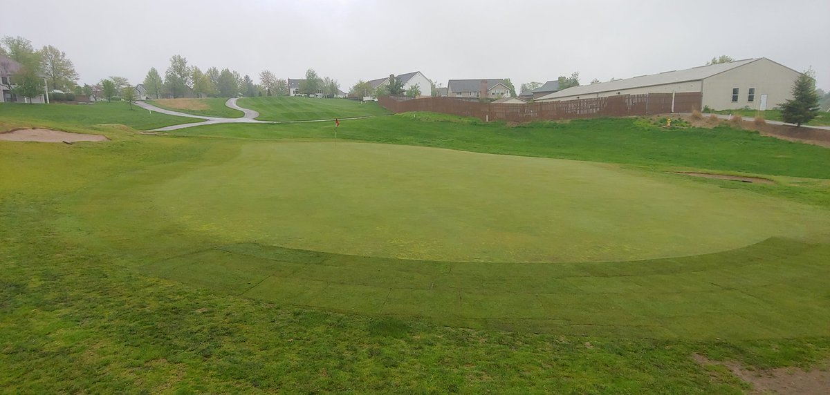 WhitmoorCCGrounds tweet media