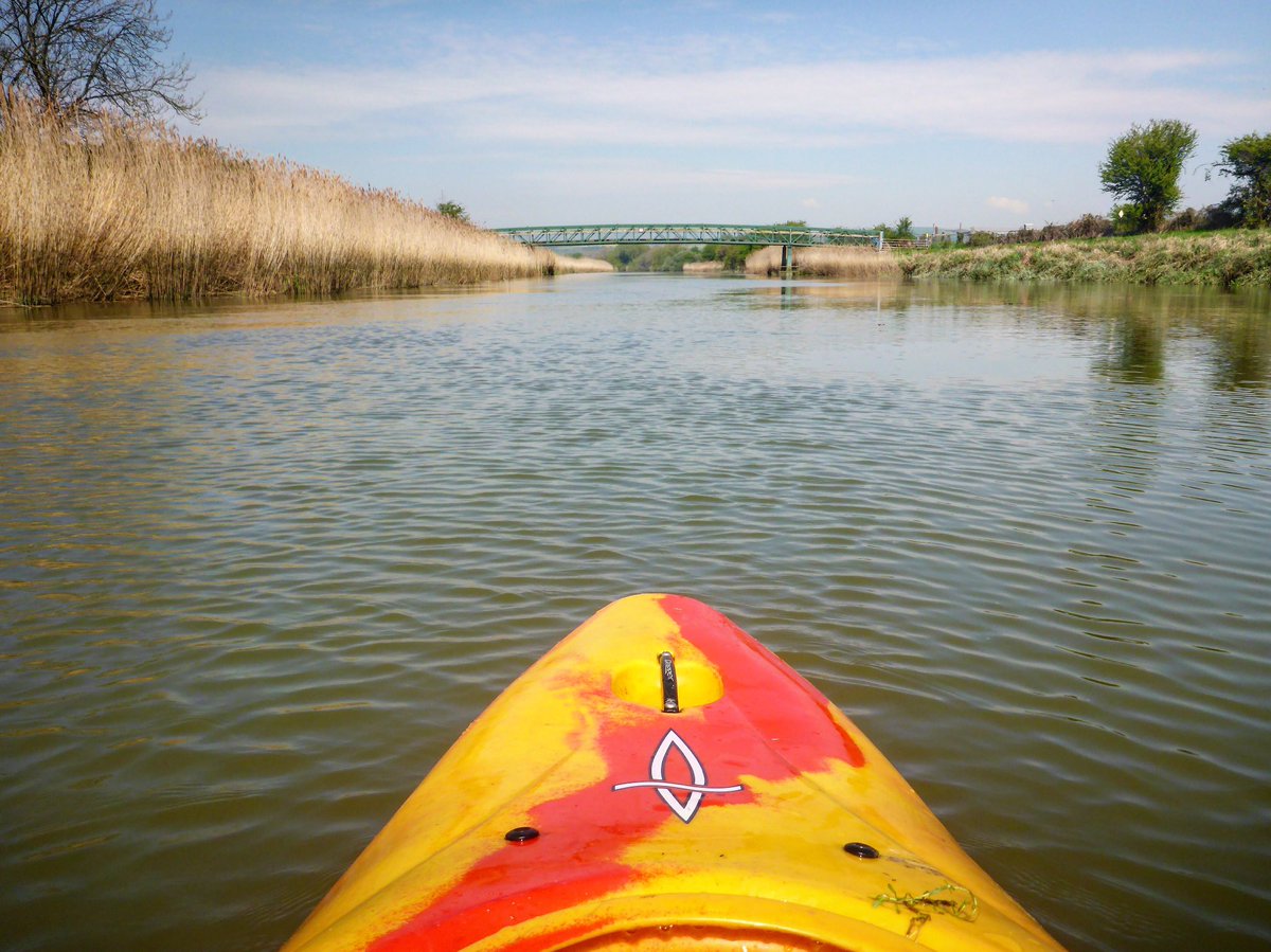 WildExplorer's tweet photo. What’SUP!! Paddling the River Arun...
#sup #paddle #paddleboard #paddleboarding #RedPaddle #redpaddleco #redpaddlecoau #redpaddlecouk #redpaddlecousa #sunny #summer #River #riverpaddle #riverpaddleboard #sussex #arun #riverarun #paddler #riverlife #adventure #explore #exploremore https://t.co/CS8SalZDl3