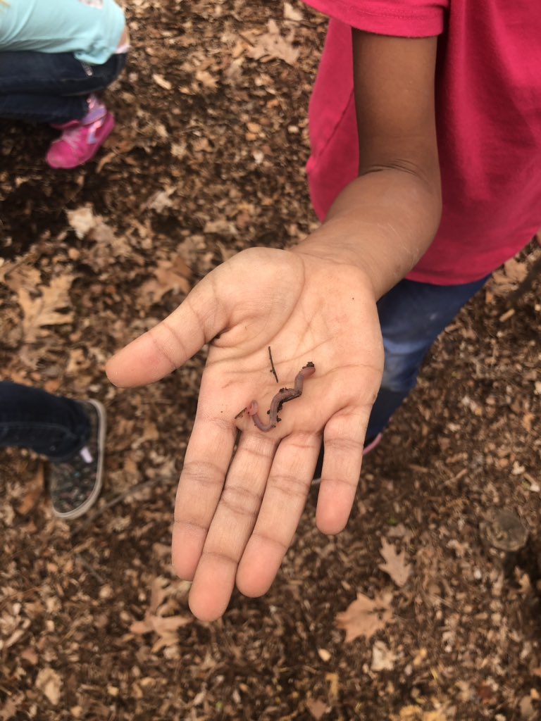 kinder_stem's tweet photo. The rain didn’t stop us from getting outside. We went on a worm hunt to feed our classroom turtles Tiny and Squirt! 🐢 @GabriellePurdy1 https://t.co/aVC3jXl9AL