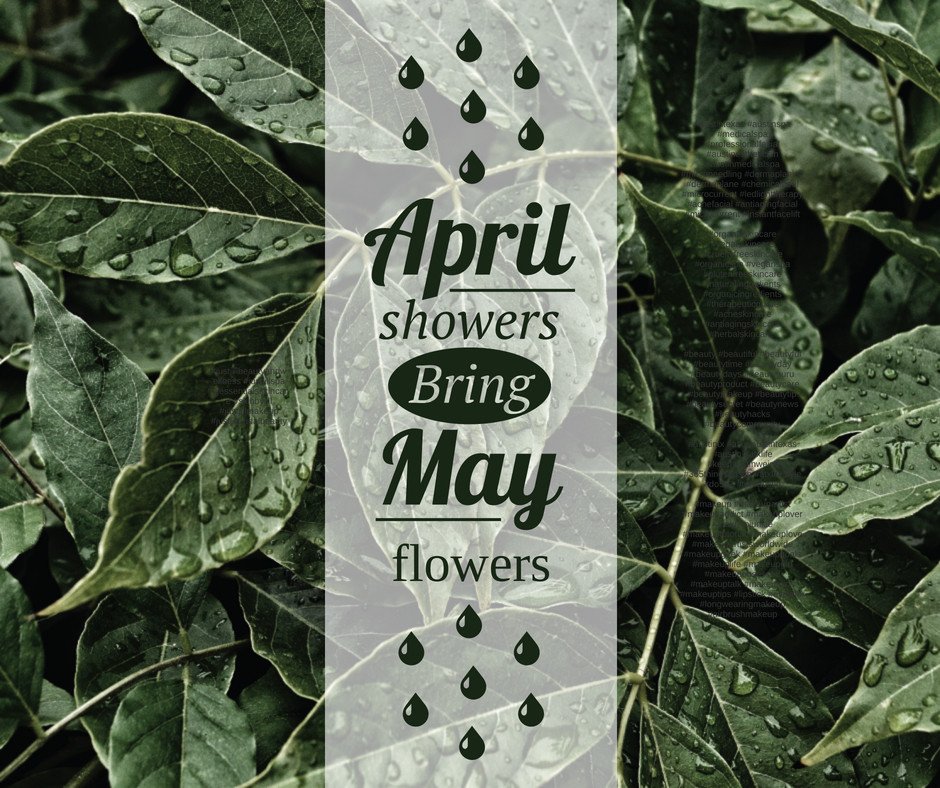 JustJillMakeup's tweet photo. Just a reminder that there's a good reason for putting up with soggy weather!  Let's enjoy the gift of rain and the gorgeous blooms it supports.  Stay safe and see us soon.
#rain #rainyweather #aprilshowers #spring #springweather #feedthebees #butterflies #rainbows https://t.co/RlpmiQFGyM