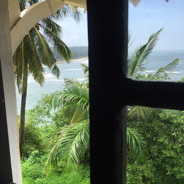Is there anything more beautiful than swaying palms and a blue sea? #thursday #seaview from the #thursdayroom