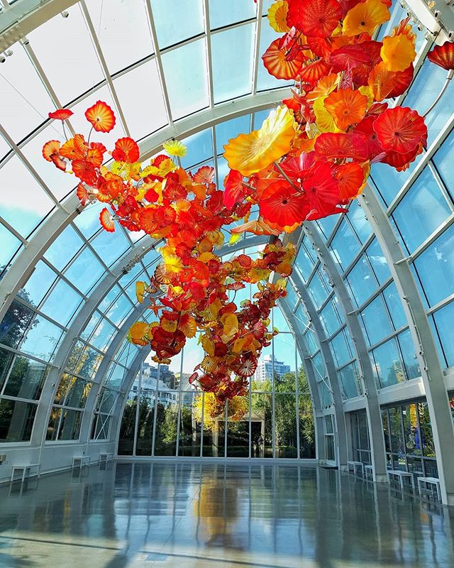 Chihuly Garden Glass Closures