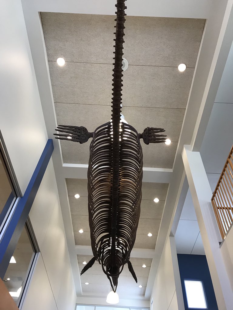 Meet the newest Pioneer! Pinecrest Inspirada is now proudly displaying a replica of the Nevada state fossil, an ichthyosaur in our main entry hallway. <a href="/IncPinecrest/">Pinecrest Academy, Inc.</a> <a href="/ThePinecrestFDN/">The Pinecrest Foundation</a> <a href="/CharterSchoolNV/">CSAN</a> <a href="/NevadaCharters/">Nevada SPCSA</a> <a href="/InspiradaNV/">Inspirada Henderson</a>