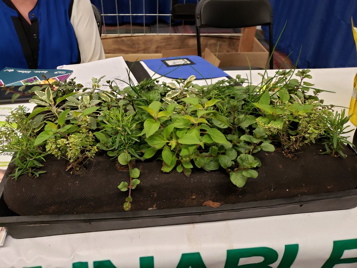 MavesRD's tweet photo. I like this vertical #gardening system! It would be great to incorporate in a child care center to teach the kids where food comes from! #CACFP19 #farmtoschool https://t.co/jTQx5Mpd9p