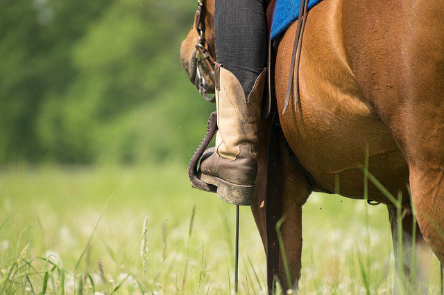 Judysschneider's tweet photo. Put your best Cowgirl boots on and get ready to blaze a new and exciting trail... “here I come and I’m ready to create my next grand adventure”! https://t.co/WVC4XuvgmS #healingthroughhorses #horsesaremedicine #equineinspiredcoaching https://t.co/iP2Mf7X3Eg