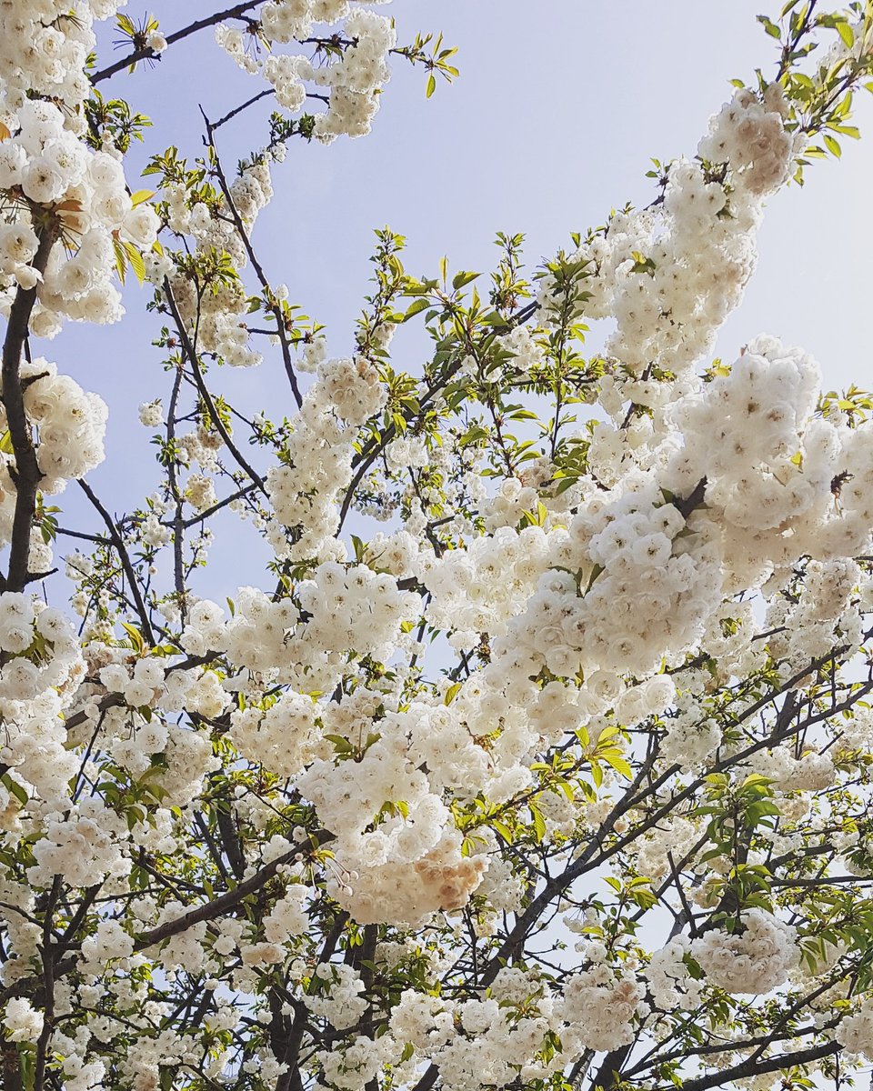 Want to start #meditating but don't know how to get started!? Read my review on the #mindfulness app it'll get you on the right track. Meditation helps you to reconnect to the present moment ✌ mantramumbling.com 
#meditation #wellnesswednesday