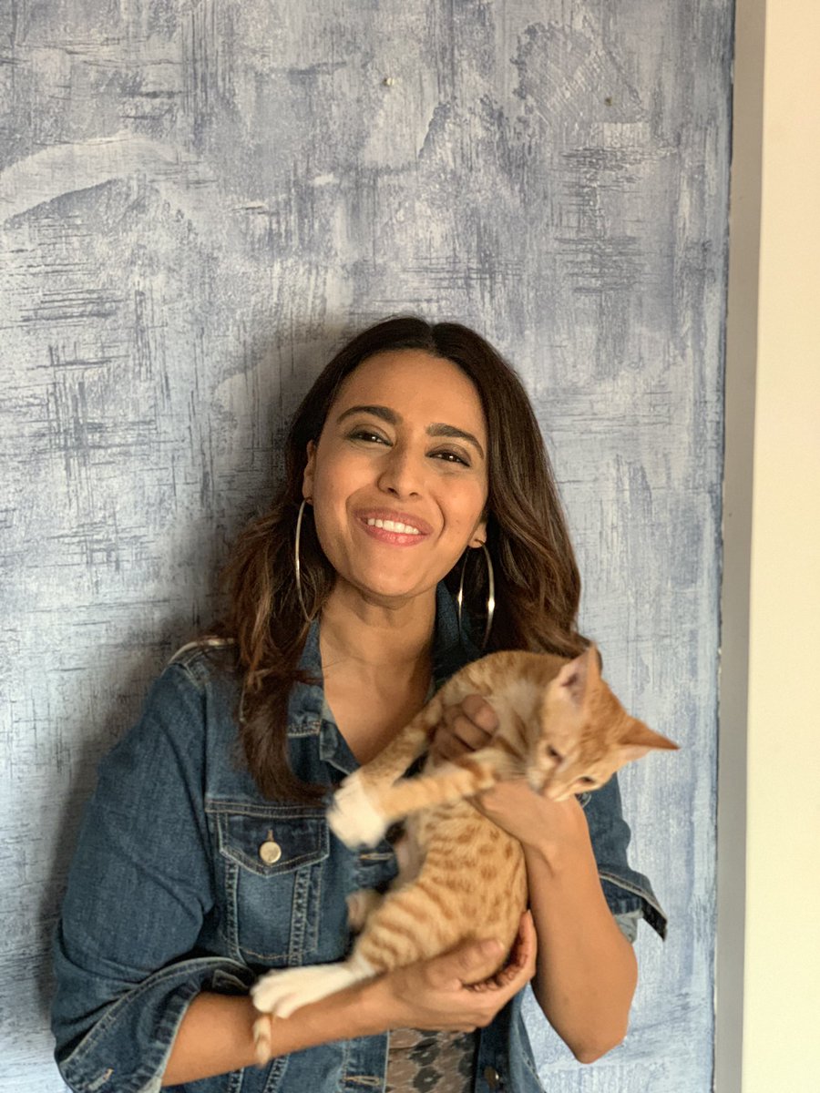 ReallySwara's tweet photo. #LailaaTheCat ‘s disaffection for me matches my trolls! 🙄🙄🙄🙄🤣🤣🤣🤣🤣🤣 #domesticproblems #washingyourfelinelineninpublic #ShittyHashtags https://t.co/otCjf4RcF2