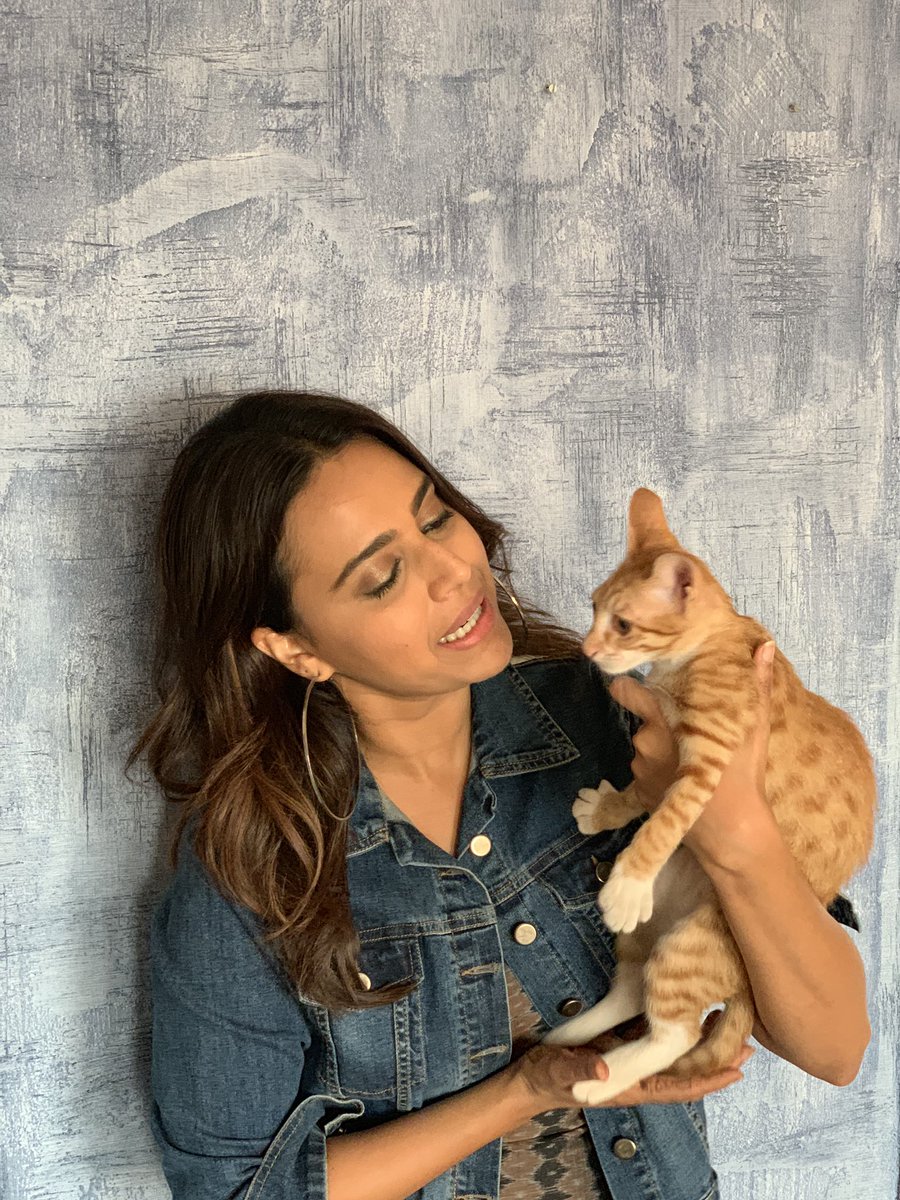 ReallySwara's tweet photo. #LailaaTheCat ‘s disaffection for me matches my trolls! 🙄🙄🙄🙄🤣🤣🤣🤣🤣🤣 #domesticproblems #washingyourfelinelineninpublic #ShittyHashtags https://t.co/otCjf4RcF2