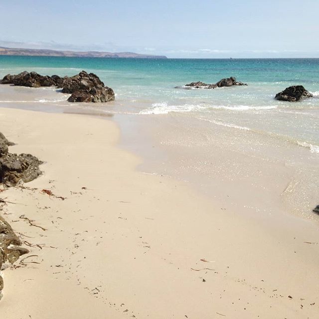 please_playa's tweet photo. #beach #travel #sea #nature #summer #sun #photography #sunset #love #ocean #instagood #photooftheday #beautiful #vacation #like #sky #landscape #beachlife #picoftheday #sand #travelphotography #follow #holiday #photo #waves #playa #fashion #fun #instagra… https://t.co/tLDDU1FF3N https://t.co/ZS8iNd9gub