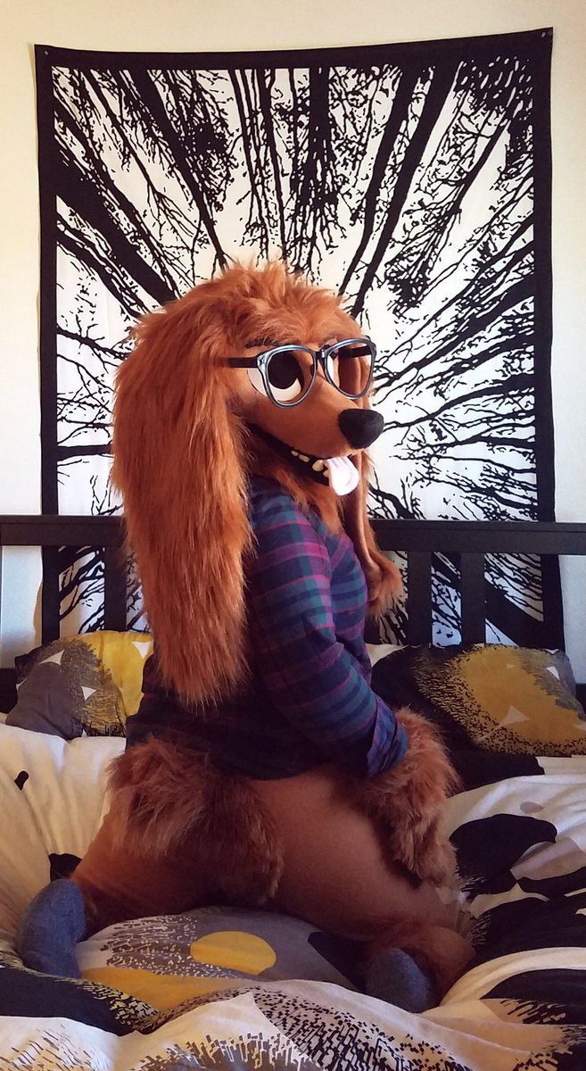 MenagerieWorks's tweet image. **Fursuit For Sale** As much as I love my spaniel suit I never wear her and would love her to go to a good home!  She is the most comfortable suit and will come with head, hands, body, tail and feet! **$1800 OBO** Payment plans an option! DM me!  🌸PLEASE Retweet!🌸