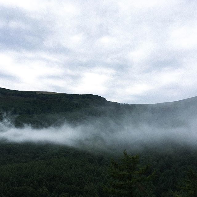lipe_alexandra's tweet photo. It’s quite clear, I miss nature🌿 https://t.co/fjmSZmiL7J https://t.co/PJbrNgmAF1