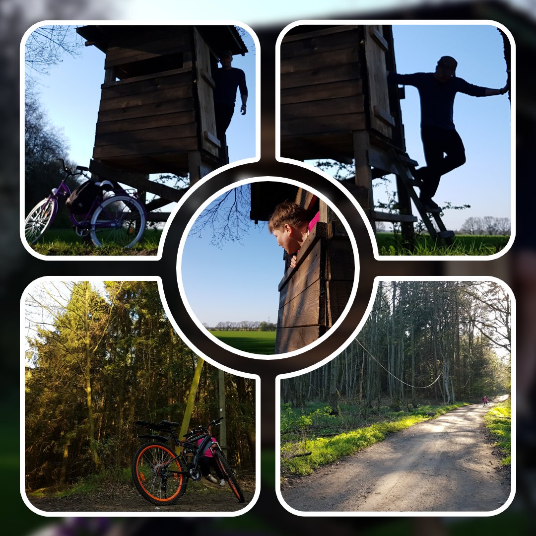 Jarnsaxa (Jarnsaxa2) Twitter