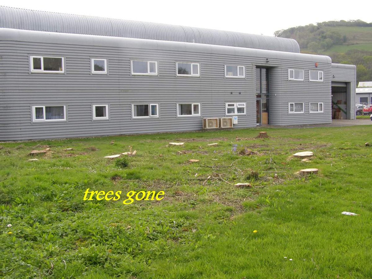 GAG is currently investigating the felling of 30+ seemingly healthy trees in Glan yr Afon industrial estate. Although replanting is proposed, we feel this was avoidable and are saddened at the loss.

For more, check out the Facebook Post facebook.com/aber.gag/posts…