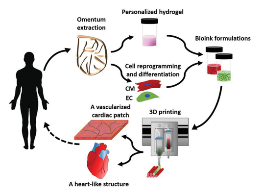 p_galipon's tweet photo. 3D Printing of Personalized Thick and Perfusable Cardiac Patches and Hearts
#TalDvir
https://t.co/oIOhyAQA6r
#digitalhealth #3DPrinting #BioPrinting Via @PatrickBrothier CC @jgalipon https://t.co/C4nkhUJjlg