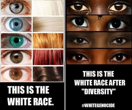 Aleksandrferrer's tweet photo. This is the white race! eyes darks and hair black no is white!
#ProWhite #WhitePride #WhiteGenocide #whitenatalism #itsoktobewhitepro #WhitePro #Whitepower #Interracial #WhiteGuilt https://t.co/nMjtsfPUsM