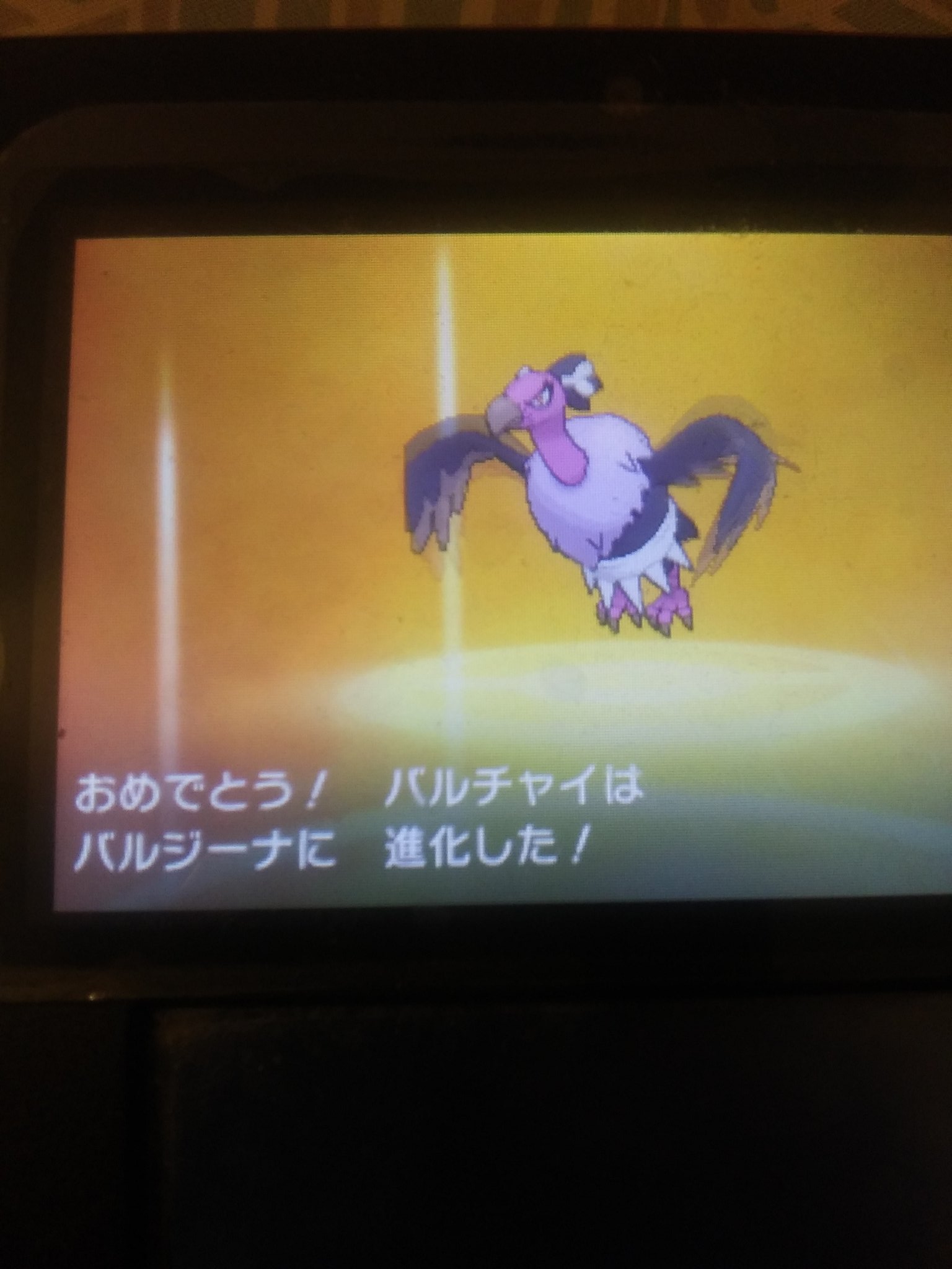 リナ この前 ゲットした色違いのバルチャイがバルジーナにやっと進化したよ レベル上げのにすっごく大変だった ポケモン ウルトラサンムーン 色違いポケモン 色違い T Co Hubuzu0qna Twitter