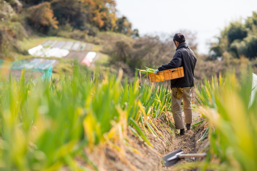 共栄火災海上保険