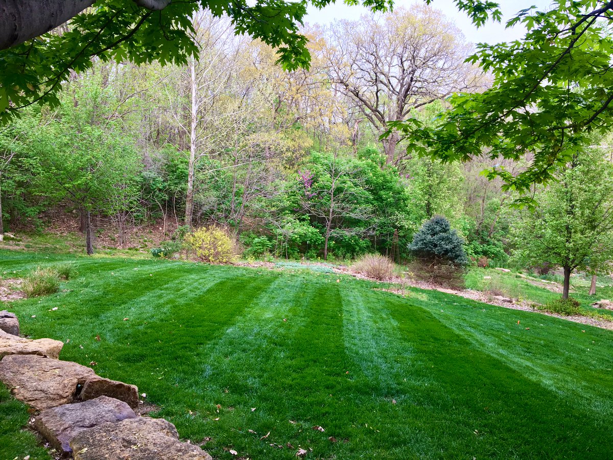 TC_Nation's tweet photo. #PhotosLikeAugusta #LawnBoy #DuraForce #2Stroke #Grasspad #milorganite https://t.co/Q5t2SBz75w