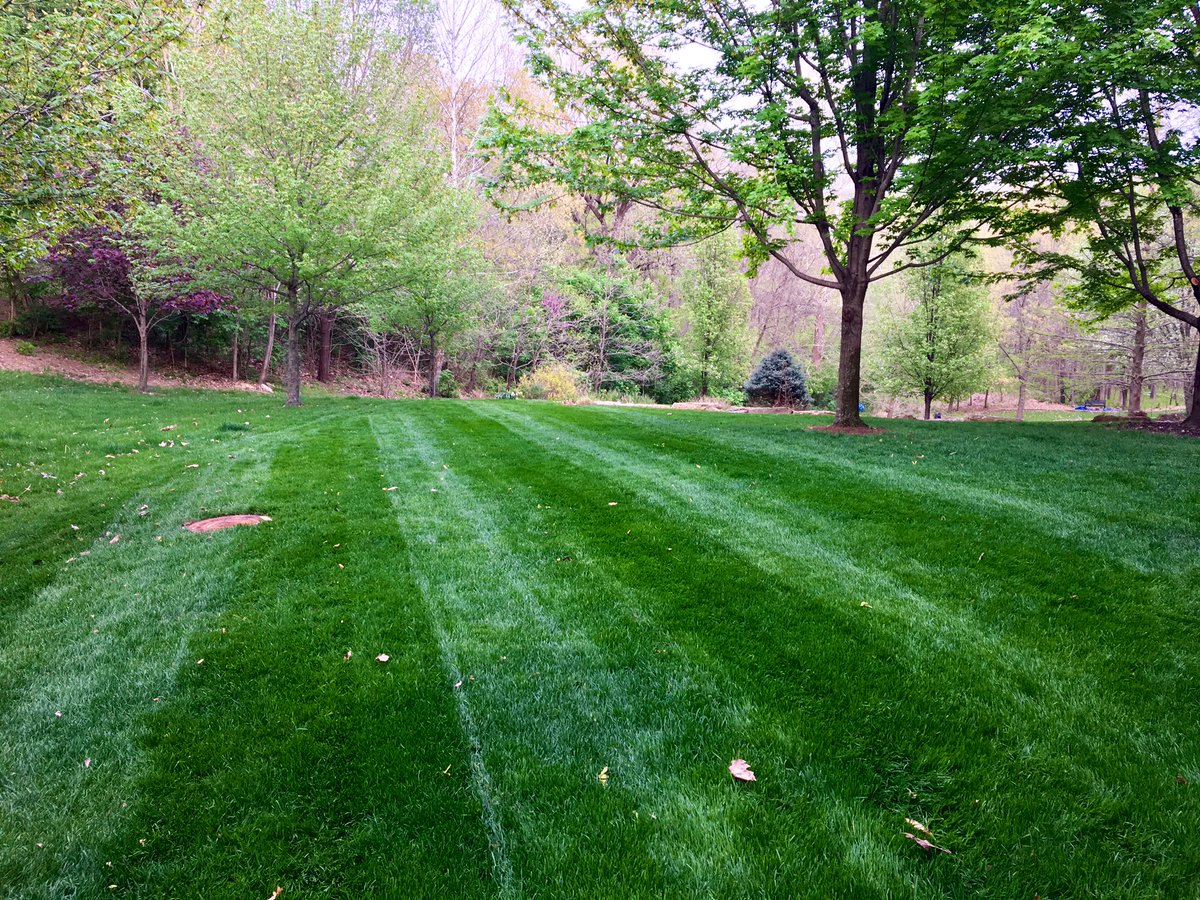 TC_Nation's tweet photo. #PhotosLikeAugusta #LawnBoy #DuraForce #2Stroke #Grasspad #milorganite https://t.co/Q5t2SBz75w