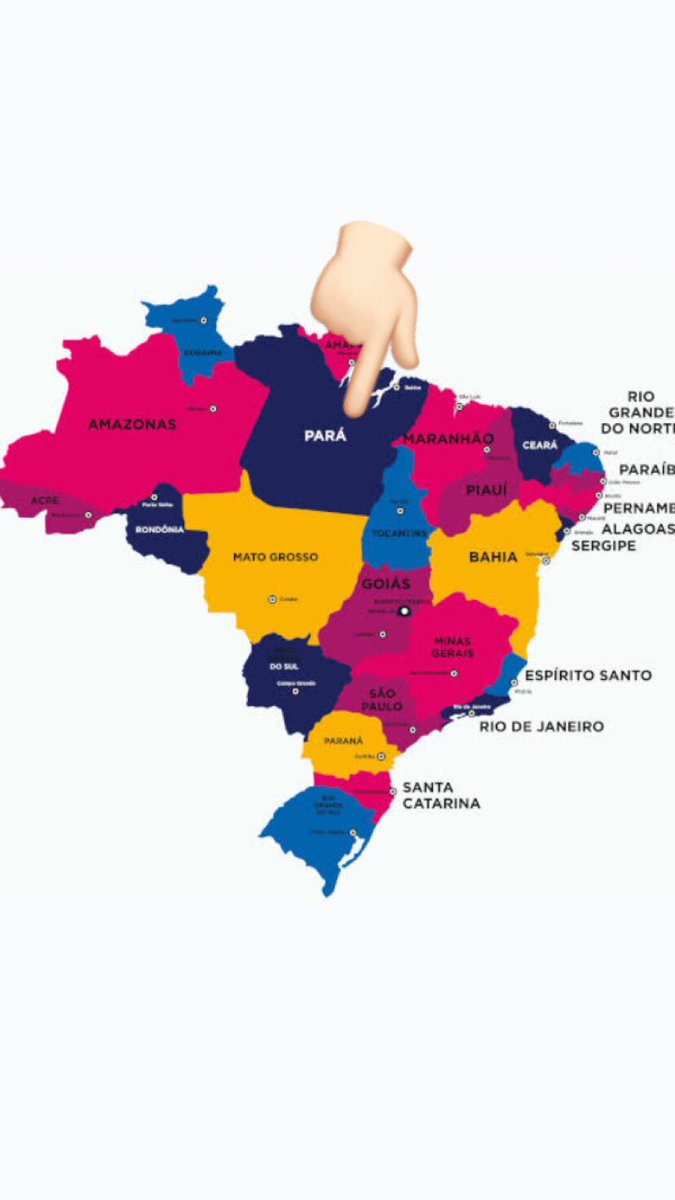 ProfeNarigueta's tweet photo. Fico indignado quando alguém aponta  o dedo, sacaneia o Pará por um erro no Fla e diz: “Pará não existe”. Mentira! https://t.co/X4qvUWQSSS