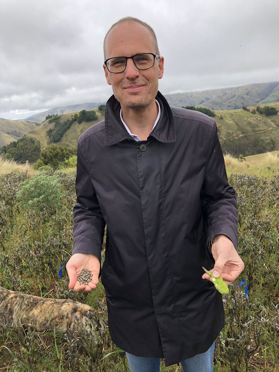 CWennerholm's tweet photo. Tarwi är en lupin/baljväxt m mkt högt proteinvärde och goda miljöeffekter om växer i Bolivia. @Sida s Kåre Johard o Erik Pettersson besökte @swedeninlapaz program m @Swisscontact. #klimatanpassning #bredarerelationer #potentialförhandel #innovationoförbättring https://t.co/jtcK94f2mU