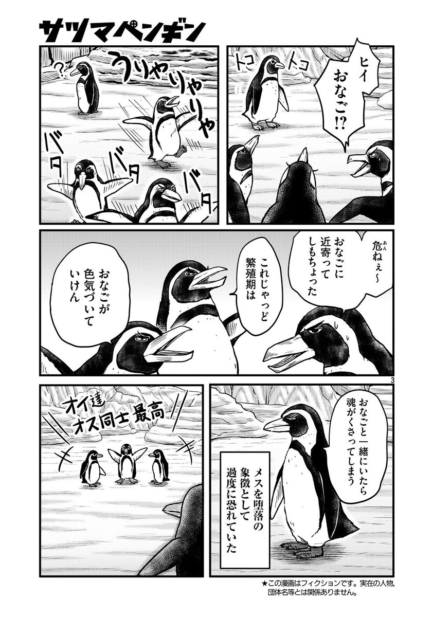 薩摩にいたかもしれないペンギン(後編)
#世界ペンギンデー #ペンギンの日 #WorldPenguinDay 