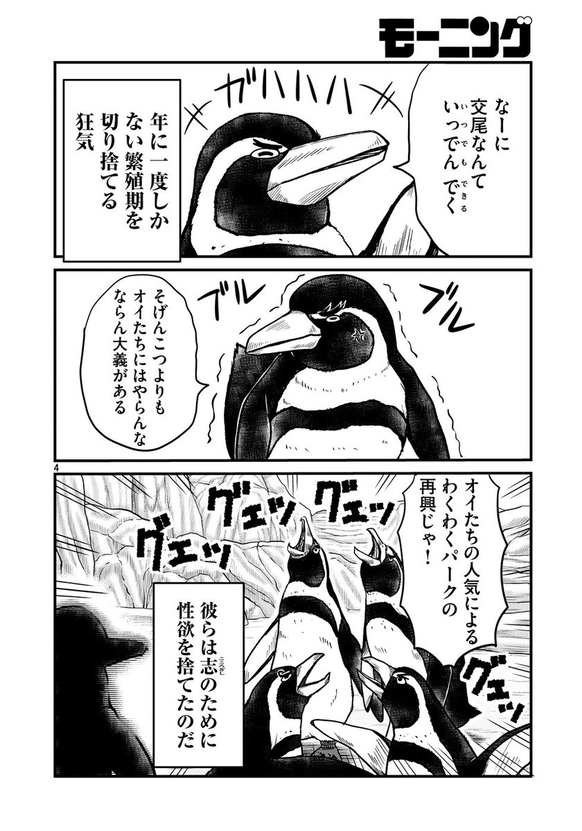 薩摩にいたかもしれないペンギン(後編)
#世界ペンギンデー #ペンギンの日 #WorldPenguinDay 